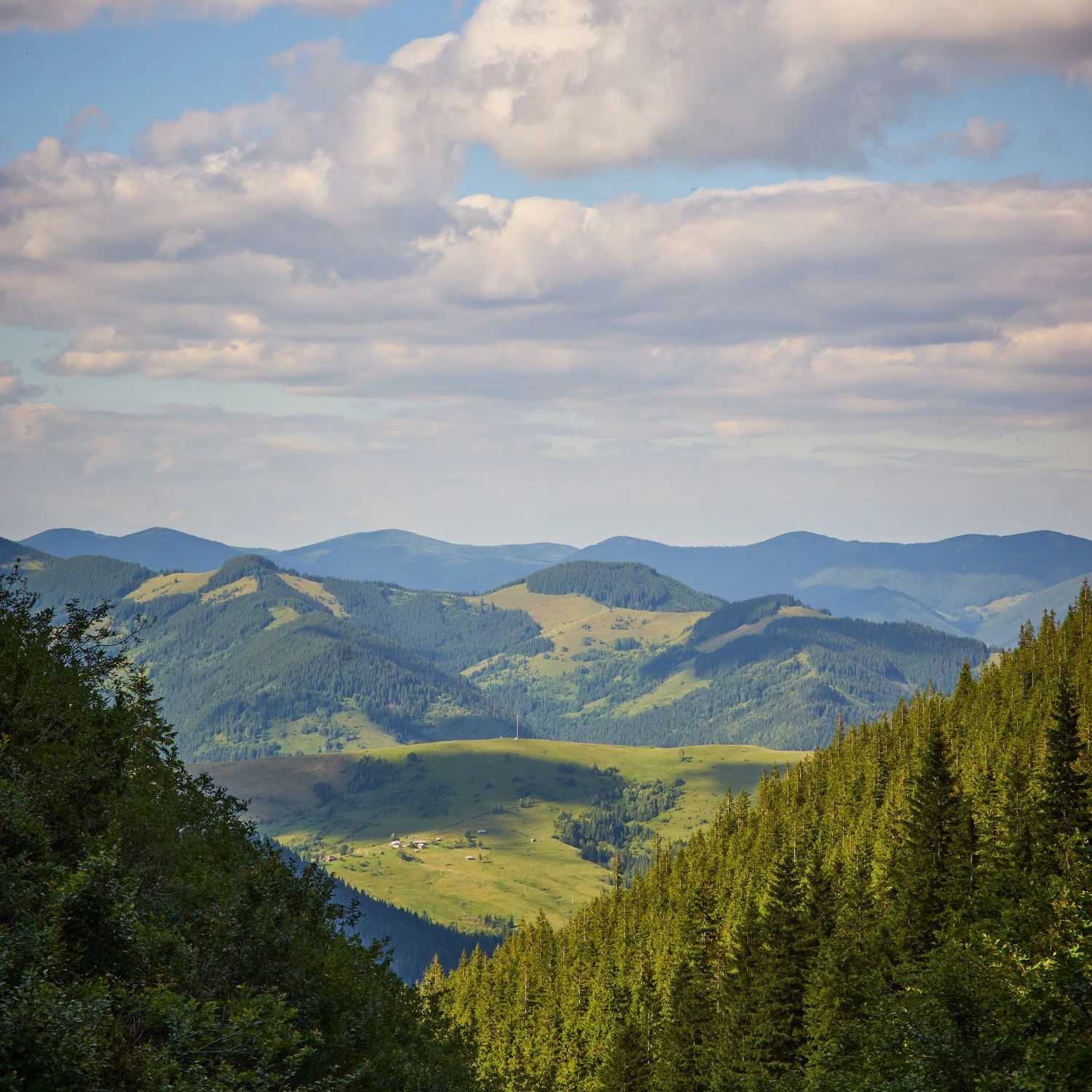 Retreats and trips